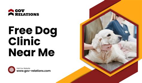 free dog clinic near me.